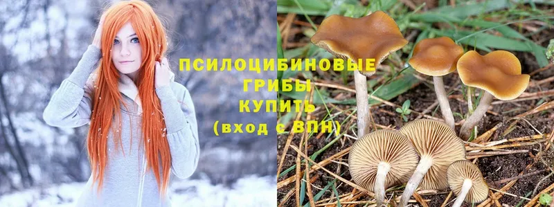 Галлюциногенные грибы MAGIC MUSHROOMS  OMG ONION  Голицыно 